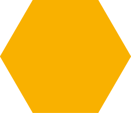 Polygon