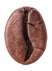 Roasted coffee beans isolated on white background. Clipping Path. Full depth of field.