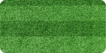 Top view stripe grass soccer field. Green lawn pattern background