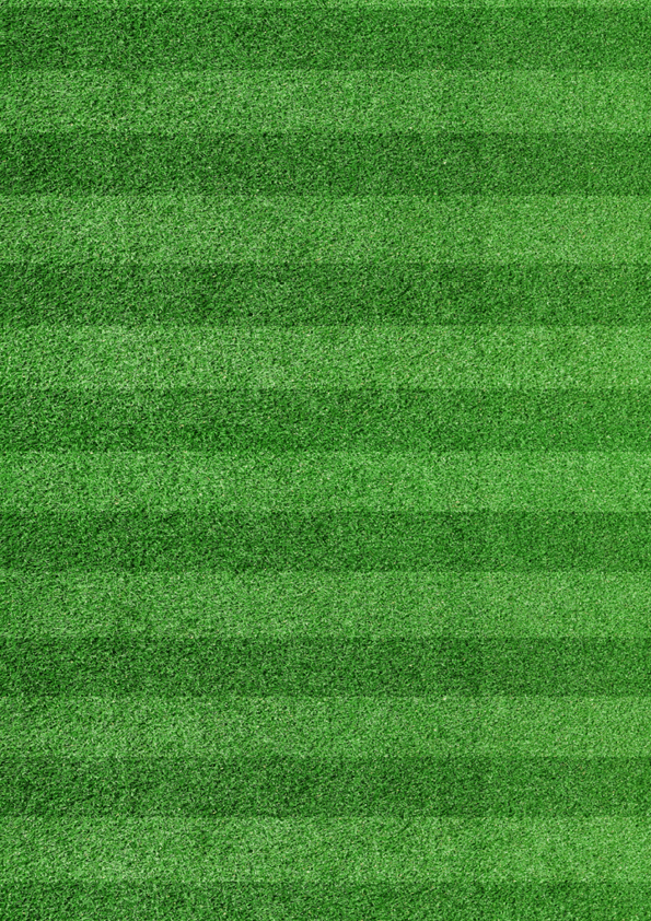 Top view stripe grass soccer field  Green lawn pattern background