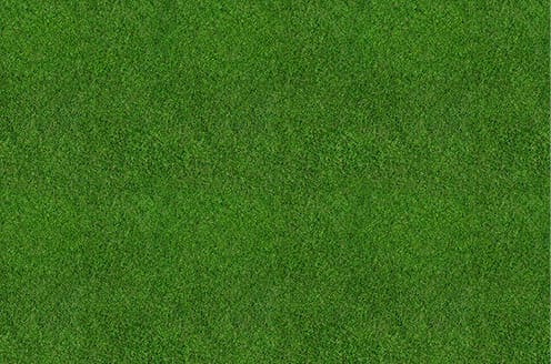 A green field of grass. Description generated by AI