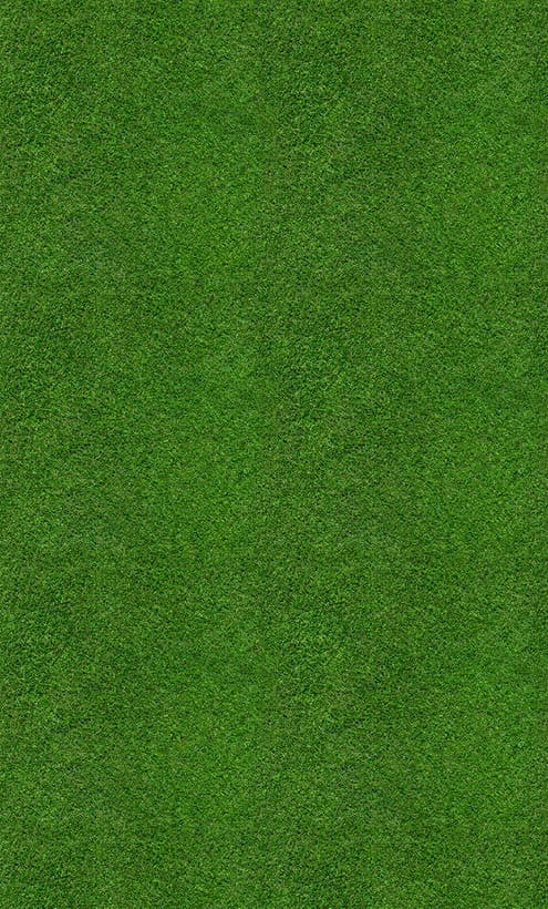 A green field of grass. Description generated by AI