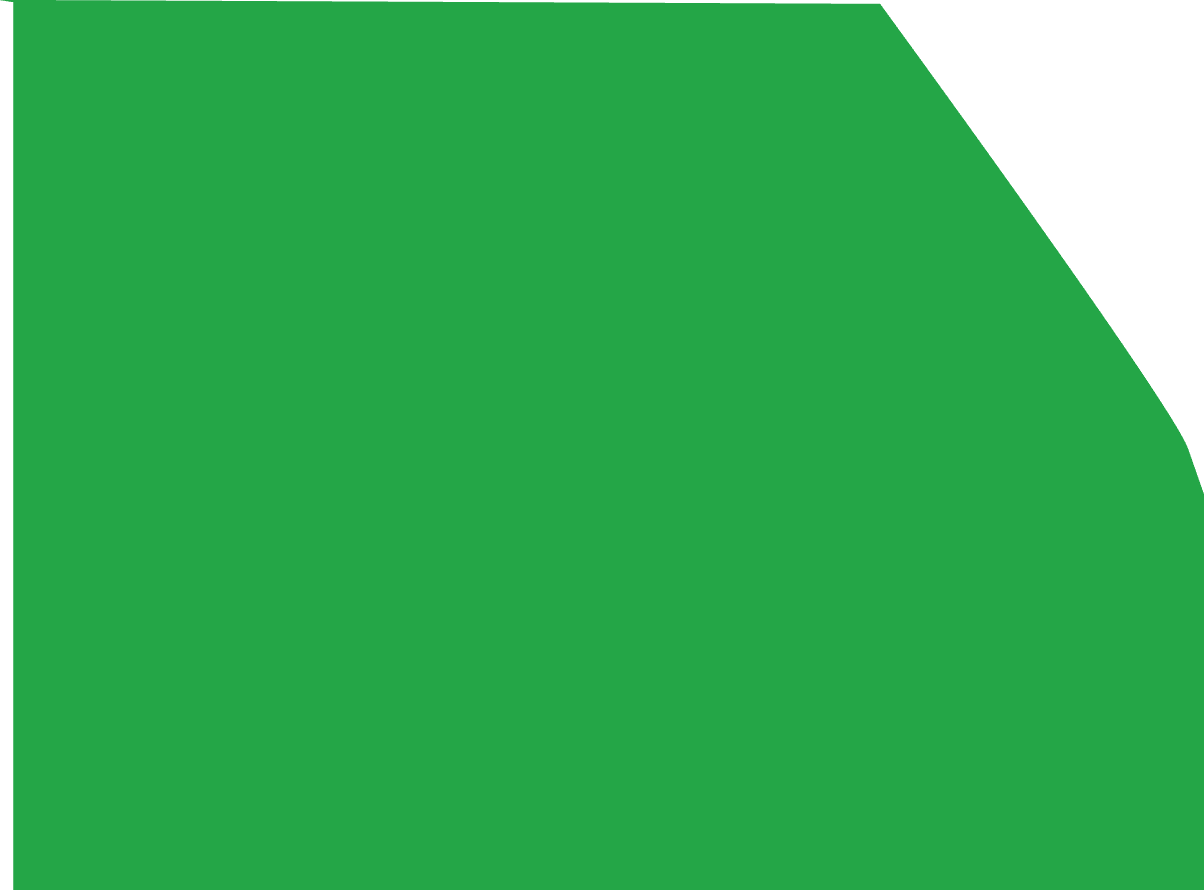 Polygon