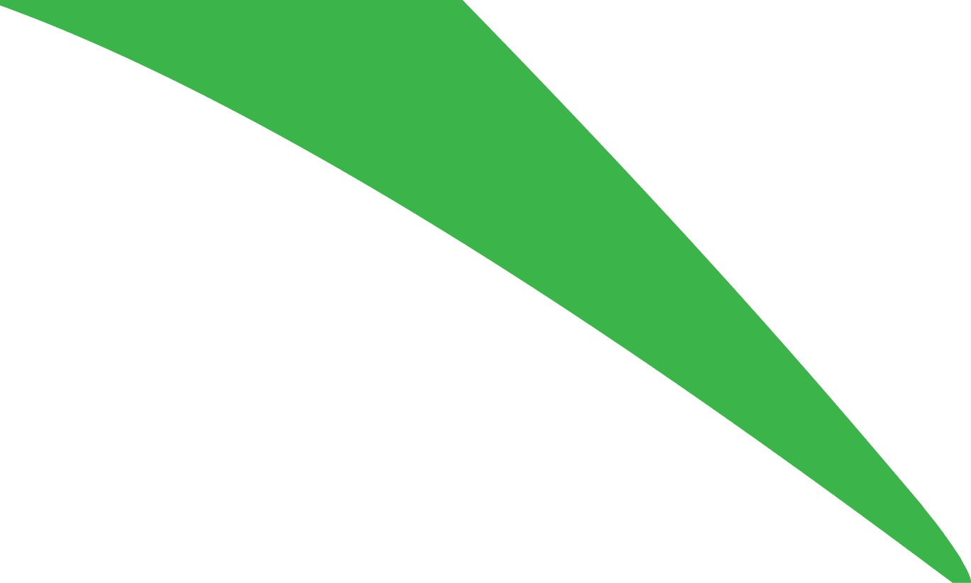 Polygon