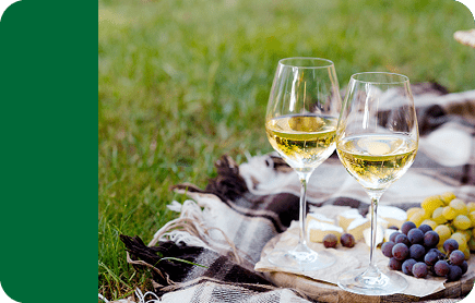 Two glasses of white wine sit on a wooden board with grapes and cheese on a plaid blanket outdoors on grass. Description generated by AI