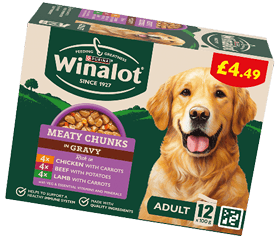 A package of Winalot adult dog food featuring a happy golden retriever and labeled as meaty chunks in gravy with chicken, beef, and lamb flavors, priced at £4.49. Description generated by AI