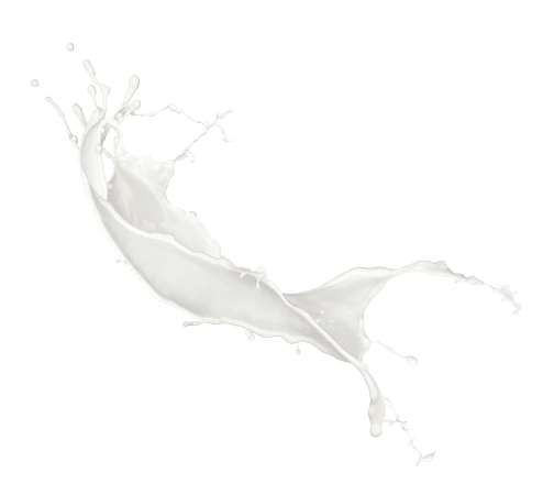 A splash of white liquid is captured mid-air against a white background. Description generated by AI